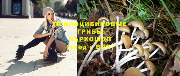 прущие грибы Арсеньев