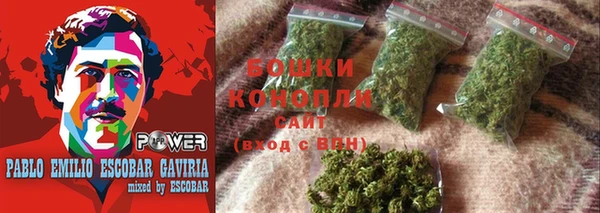 прущие грибы Арсеньев